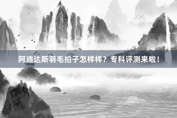 阿迪达斯羽毛拍子怎样样？专科评测来啦！